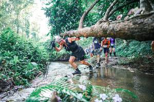 BIB: 
                            <button type="button" onclick="openModal(25451835)" class="btn btn-primary btn-sm float-right btn-popup" data-toggle="modal" data-target=".modal-high-quality">
                        <i class="fas fa-shopping-cart"></i> Add to Cart
                    </button>
                                            <button type="button" onclick="isThisMe(25451835, true)" class="btn btn-success btn-sm float-right btn-popup btn-isme hidden" data-toggle="tooltip" data-placement="bottom" title="นี่คือรูปของคุณใช่ไหม คลิกที่นี่เพื่อเอาเข้าอัลบั้ม">
                        <i class="fas fa-plus"></i> Add to album
                    </button>
                    <button type="button" onclick="isThisMe(25451835, false)" class="btn btn-warning btn-sm float-right btn-popup btn-isnotme hidden">
                        <i class="fas fa-ban"></i> Remove from album
                    </button>